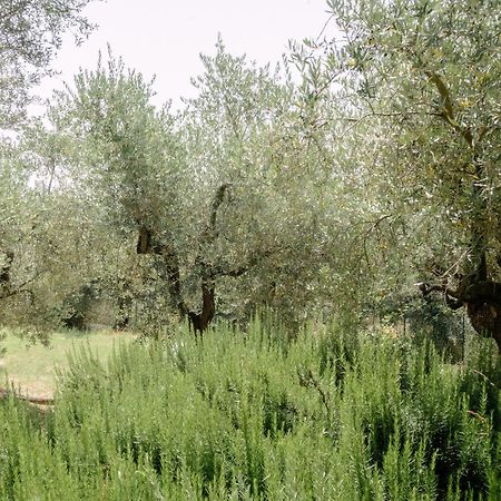 Casa Lunaria Moscufo Bagian luar foto