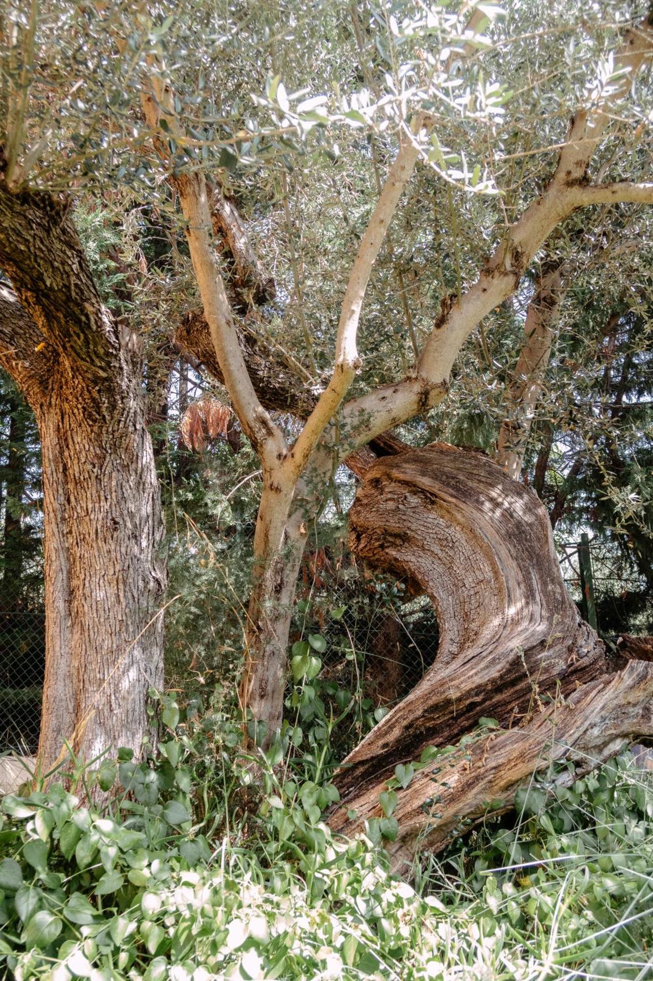 Casa Lunaria Moscufo Bagian luar foto