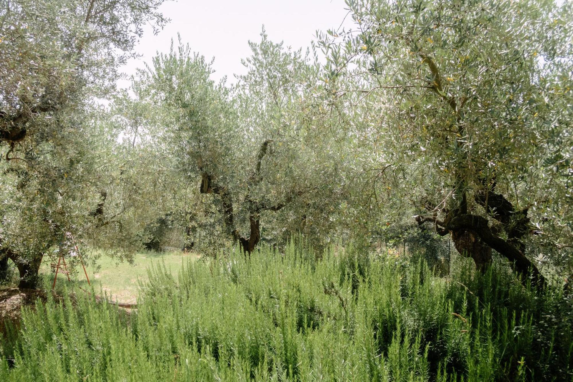 Casa Lunaria Moscufo Bagian luar foto