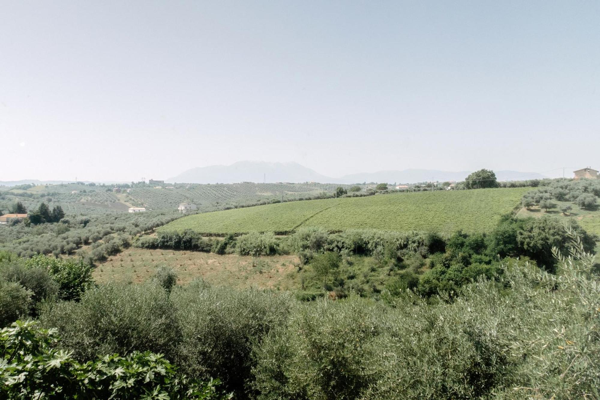Casa Lunaria Moscufo Bagian luar foto