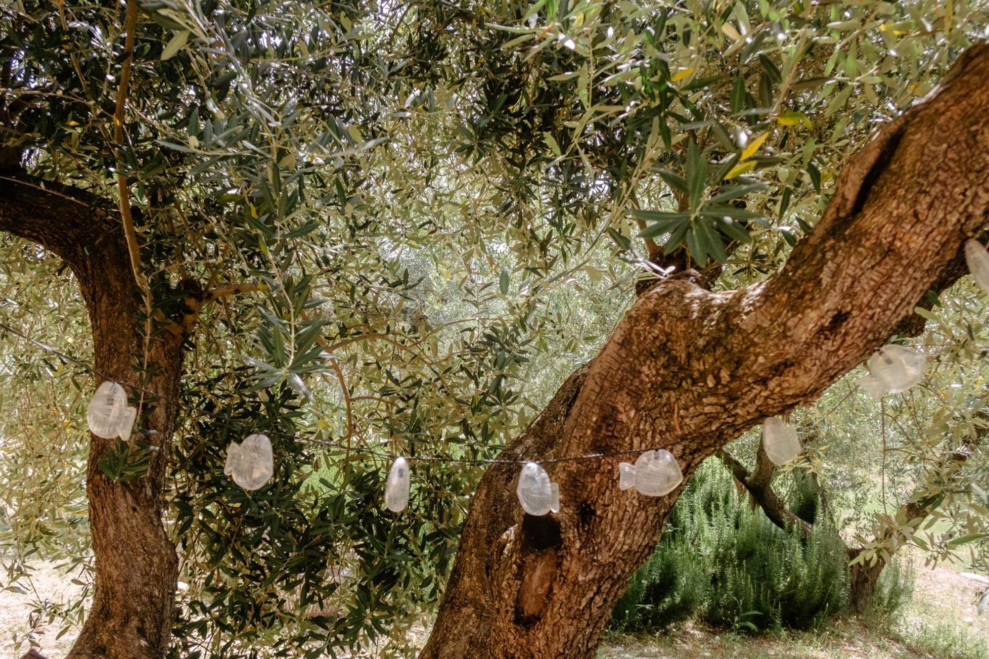 Casa Lunaria Moscufo Bagian luar foto
