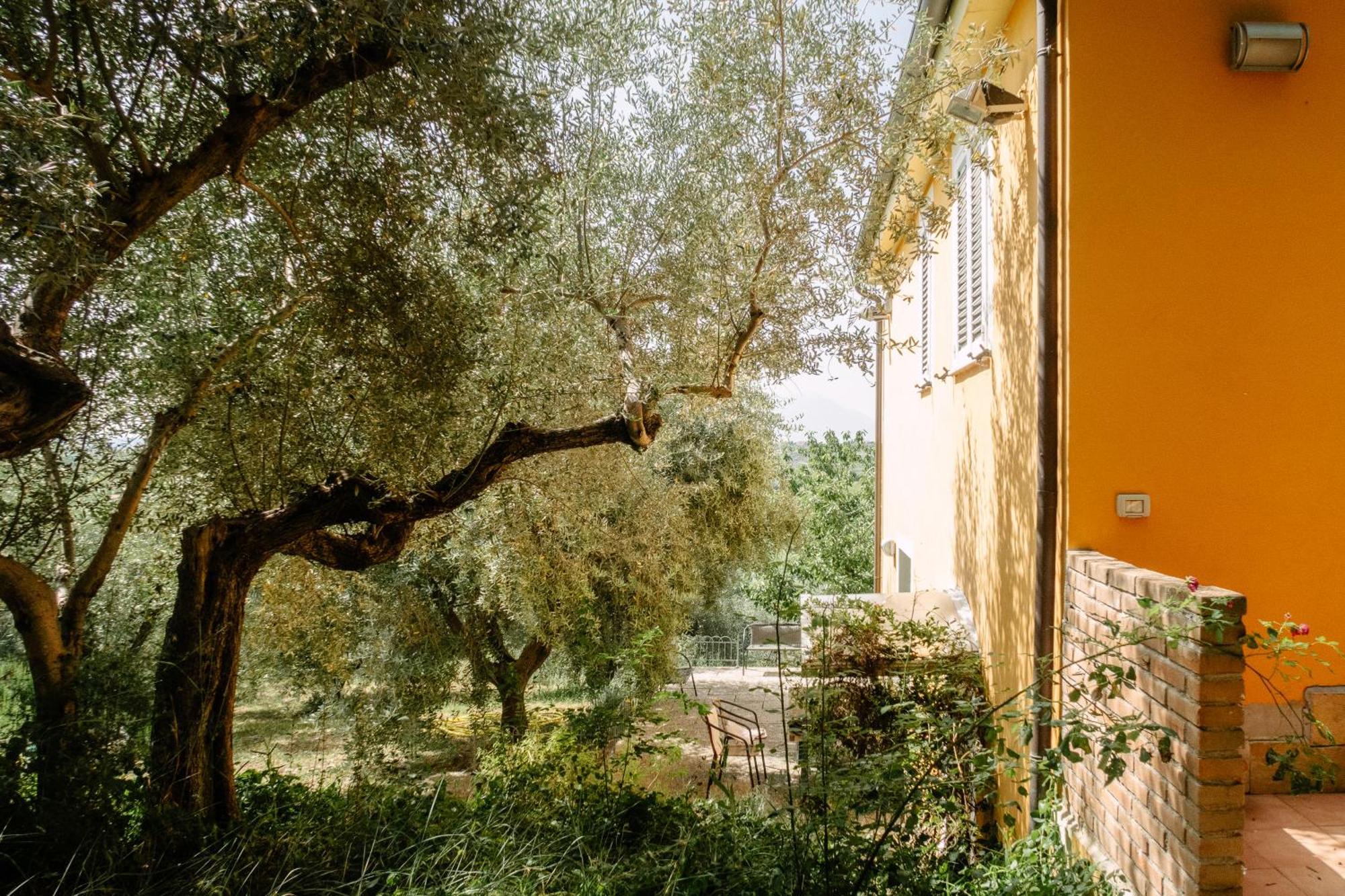 Casa Lunaria Moscufo Bagian luar foto